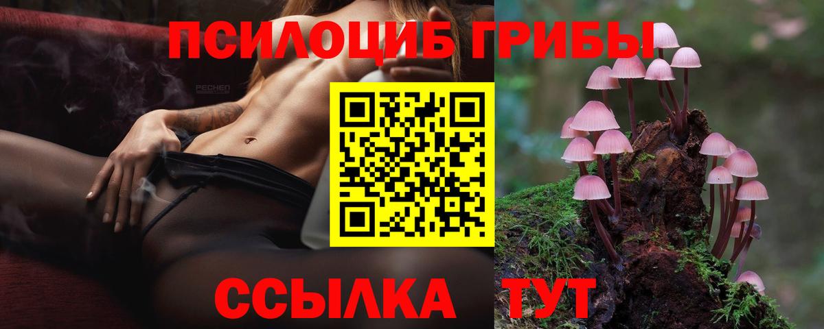Галлюциногенные грибы Magic Shrooms Менделеевск